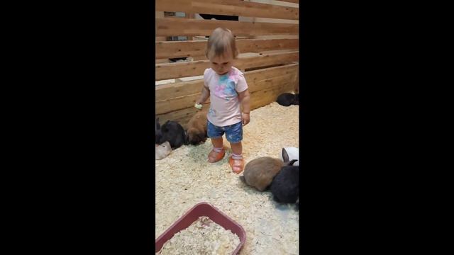 НАСТЯ И РУЧНЫЕ ЖИВОТНЫЕ. Контактный зоопарк " Страна енотия" смотреть онлайн