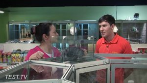 TEST.TV: Шиншилла - не только ценный нежный мех!