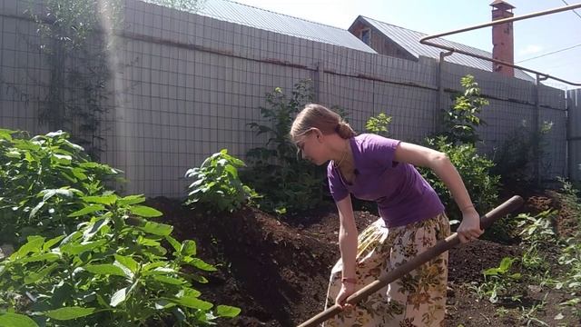 5/21. Спорт в жизни кришнаита. (Блогер за 21 день) смотреть онлайн