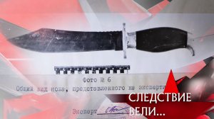 «В моей смерти прошу винить…» | Фильм из цикла «Следствие вели...» с Леонидом Каневским