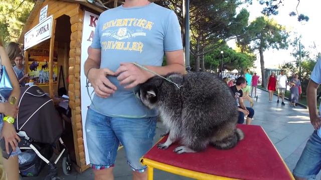 ЯЛТА набережная - обзор с камерой. Ялта за 5 мин! смотреть онлайн