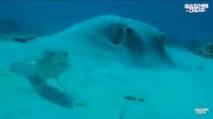 че за фигня блин