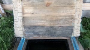 Источник у села Раково в Курганской области