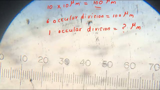 Micrometry | MSc Zoology Practical | Dr. Rani.S.Dharan смотреть онлайн