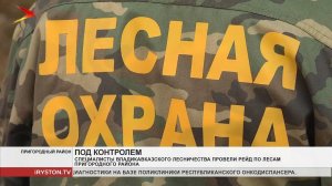 Специалисты Владикавказского лесничества провели рейд по лесам Пригородного района