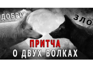 Притча о двух волках