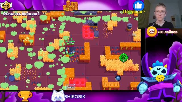 АПАЕМ 33333 КУБКОВ! СТРИМ ПО БРАВЛ СТАРСУ! ПУШЕМ КОПИЛКУ! смотреть онлайн