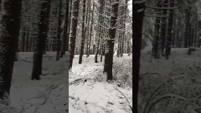 Deutschland, crottendorf Schnee