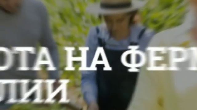 Как получить рабочую Визу Великобритании