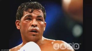 Артуро Гатти (Покойся с миром, чемпион!)