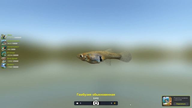 Гамбузия обыкновенная, игра трофейная рыбалка 2, река Дунай, локация База, редкая рыба в игре