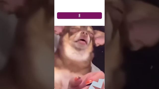 Тот самый энергичный сотрудник после новогодних праздников и я #юмор  #приколы