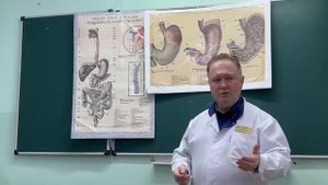 Видеолекция "Желудок"