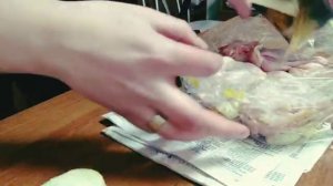 🟢ВЛОГ_18🟢 КРЫЛЫШКИ В МИКРОВОЛНОВОЙ ПЕЧИ/ДИКИЙ