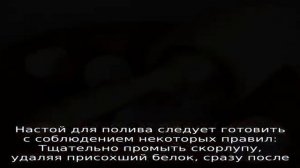 Яичная скорлупа как удобрение для рассады помидор