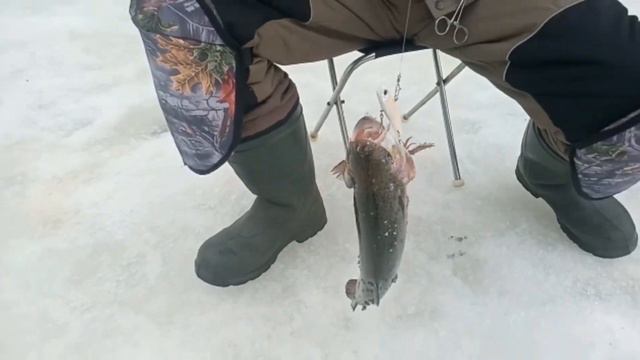 21 марта 2023 г. смотреть онлайн