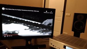 Dynaudio Emit M20 & Rotel A14 - Mayo Nakano Piano Trio Scabious