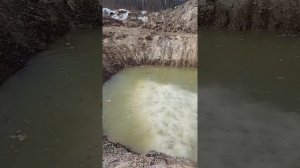 Пруд в деревне, 2 недели спустя после копки, повышение Ph пруда, мои впечатления, мои пожелание Вам