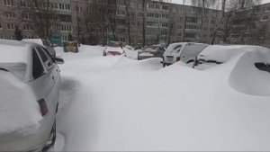 Как устроен прокат снегоходов? Нюансы и особенности работы в малоснежных регионах.