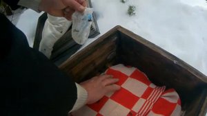 Спасаем оставшихся пчел! Опять про двух маток в одной семье!
