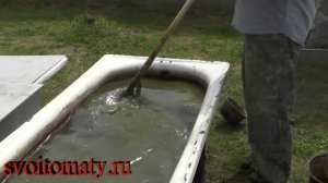 Важная подкормка томатов после высадки