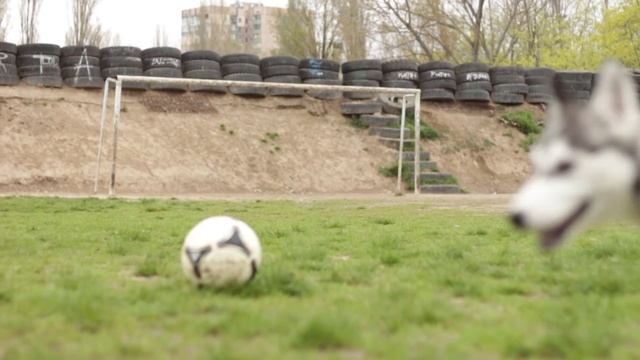 Футбол финты удары soccer feints shots on goal смотреть онлайн