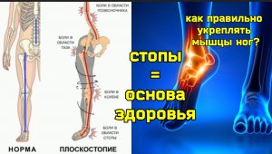 Страдают ноги, болят стопы и голени? 3 главные мышцы, 5 популярных ошибок