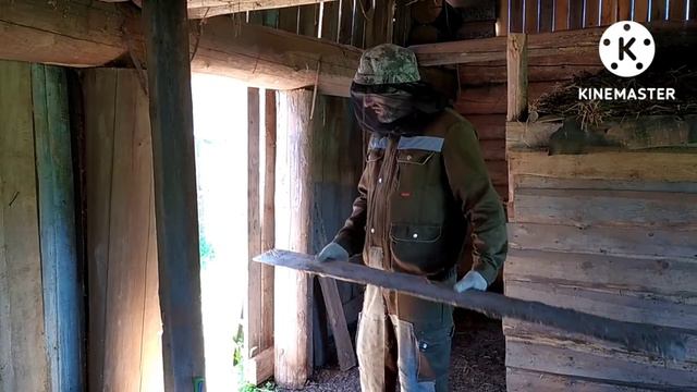 Заготовка иван-чая. Ремонт дровника.