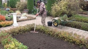 Размышления из сада.   Посадка тюльпанов.