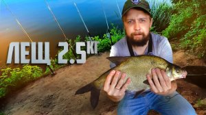 Таких лещей я еще не ловил! Шок | Рыбалка и еда на природе )