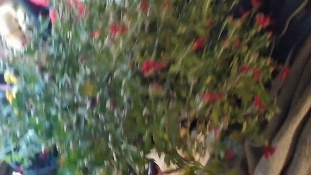 #грабли поломались смотреть онлайн