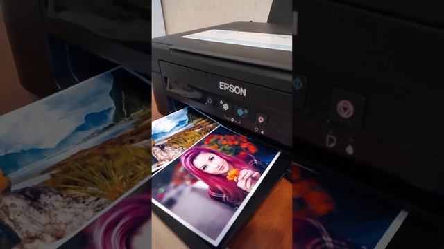 Epson L210