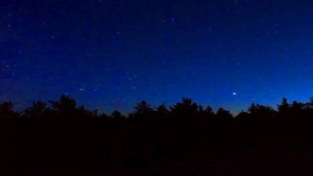 Calm The Mind For Better Sleep - Wildlife Sound | Спокойствие разума для лучшего сна - Звуки природ смотреть онлайн