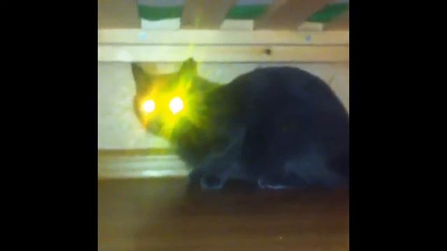 Глаза как фары ? смотреть онлайн