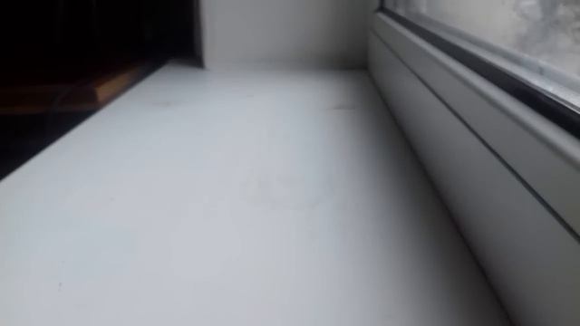 Покупки 😉😂😂_Лена ||Девушки поймут смотреть онлайн