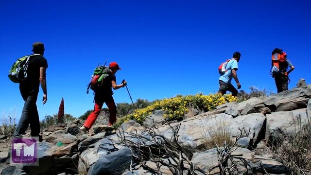 9 Секретов Как Развить и Улучшить ПАМЯТЬ смотреть онлайн