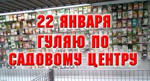22 января. Ездила в садовый центр SKNIGAFLOR. Мои покупки