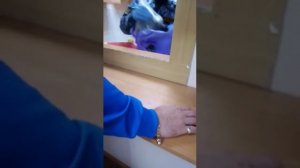 приём передач в колонии поселения город Норильск