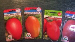 Семена вкусных томатов. Кистевые, крупноплодные томаты.
