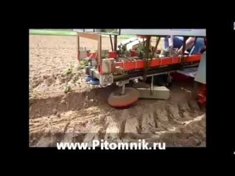 посадка саженцев, сеянцев посадочной машиной
