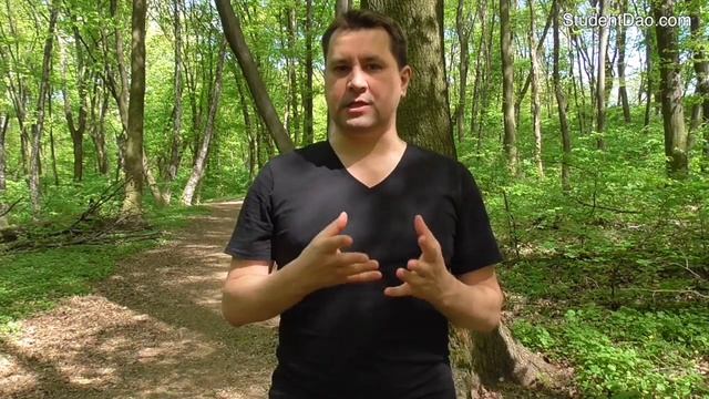 Даосские практики с деревьями