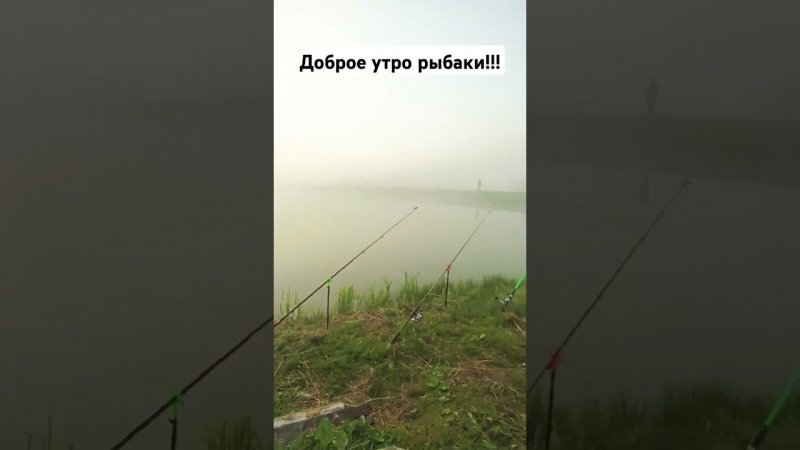 рыбалка на сома ночью #рыбалка #fishing #золотойкарась #carpfishing #automobile