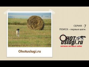 Нужно ли учить собаку поиску (челноку)?