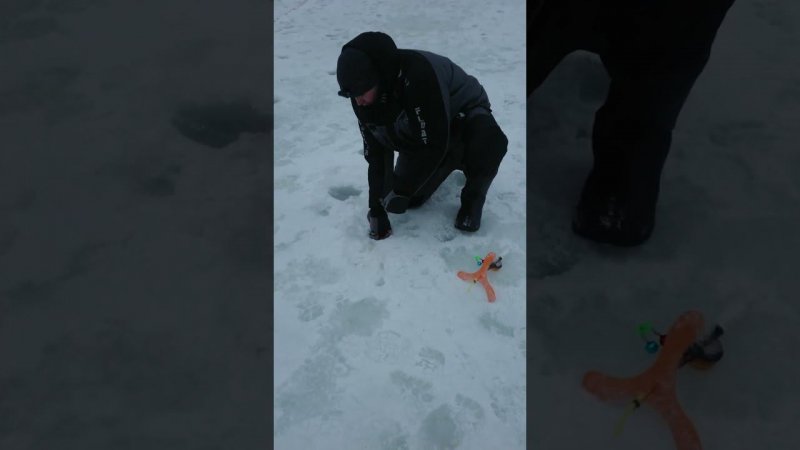 Снова сыр