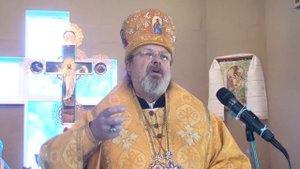 Епископ Олег (Ведмеденко). «Просто смотри на свет...» (ВИДЕО)