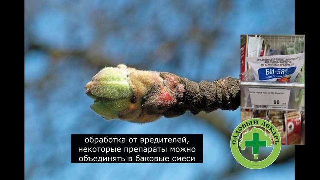 Новый проектАптечка для сада фильм 1