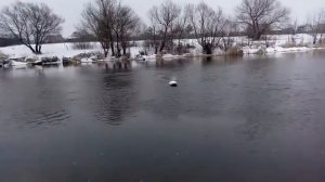 Водоизмещающий Скат 3