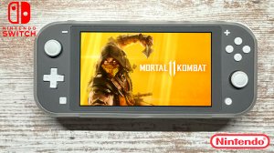 Mortal Kombat 11 Nintendo Switch Lite Gameplay