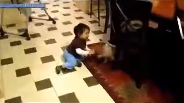 Самое Смешное видео Смешные детки Дети и животные 1 смотреть онлайн