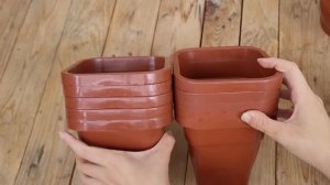 COMPRINHAS: Suculentas que eu comprei pela internet, vasos novos e plantas do garden🌵